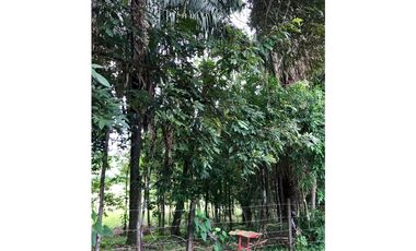 VENTA TERRENO DE 12MIL M2 CON CABAÑA - HACIENDA SANTA DOMENICA