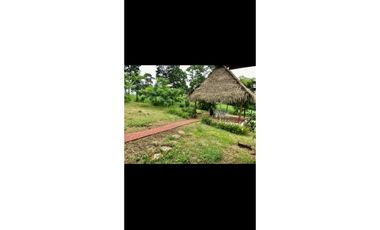 VENTA TERRENO DE 12MIL M2 CON CABAÑA - HACIENDA SANTA DOMENICA