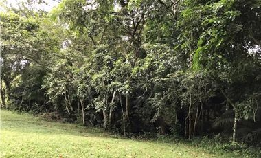 VENTA TERRENO DE 12MIL M2 CON CABAÑA - HACIENDA SANTA DOMENICA