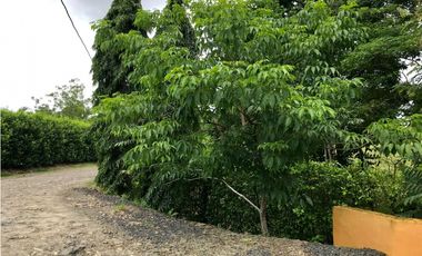 VENTA TERRENO DE 12MIL M2 CON CABAÑA - HACIENDA SANTA DOMENICA