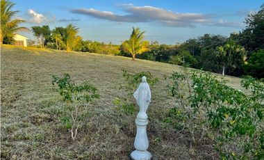 VENTA TERRENO DE 12MIL M2 CON CABAÑA - HACIENDA SANTA DOMENICA