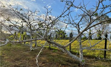 VENTA TERRENO DE 12MIL M2 CON CABAÑA - HACIENDA SANTA DOMENICA
