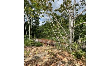 PANAMA NORTE / GC Riverwalk Ambar D-26