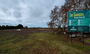 Los Gaviones un lugar donde vivir Chabas Santa Fe