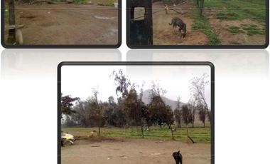 Terreno venta en Lurigancho, Lima