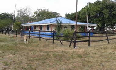 finca en venta en mahates. Cod V88752