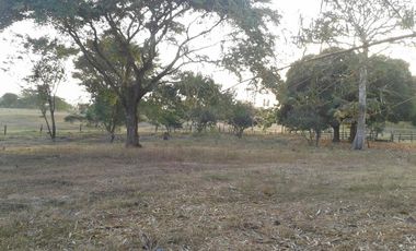finca en venta en mahates. Cod V88752