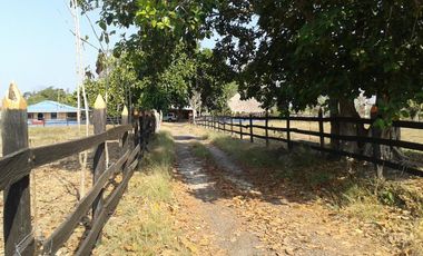 finca en venta en mahates. Cod V88752