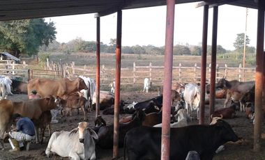 finca en venta en mahates. Cod V88752