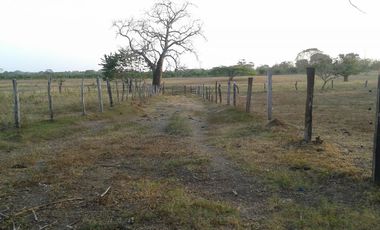 finca en venta en mahates. Cod V88752