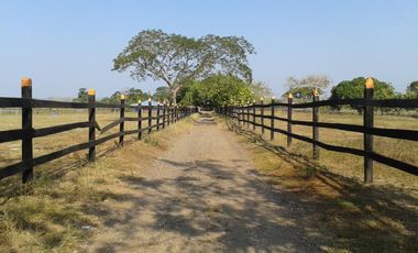 finca en venta en mahates. Cod V88752