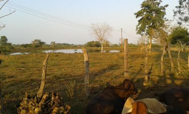 finca en venta en mahates. Cod V88752