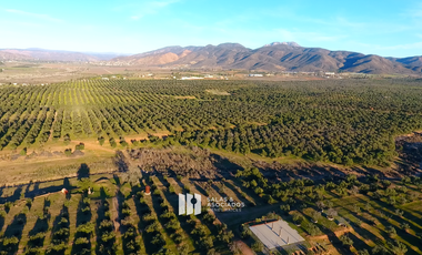 4.66 HA.CARRETERA AGUA, LUZ  EN LA ZONA DE SASSI DEL VALLE