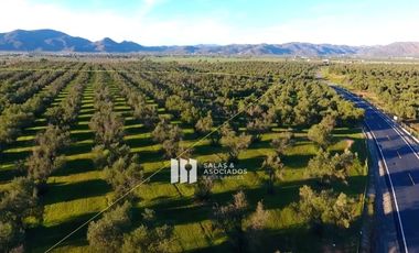 4.66 HA.CARRETERA AGUA, LUZ  EN LA ZONA DE SASSI DEL VALLE