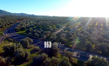 4.66 HA.CARRETERA AGUA, LUZ  EN LA ZONA DE SASSI DEL VALLE