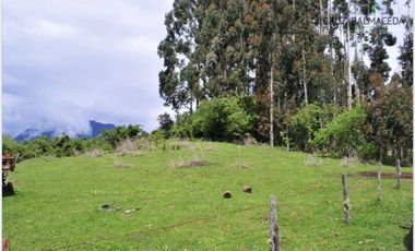 Parcela en Venta en Km 39