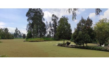 Lote en venta en Los Pinos Club de Polo