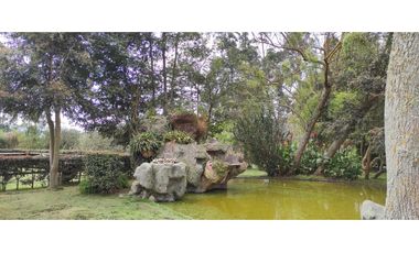 Lote en venta en Los Pinos Club de Polo