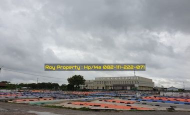 Dijual Gudang di Raya Widang Gembong Babat Lamongan 3 Ha