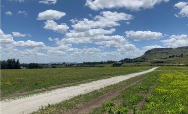 OPORTUNIDAD! Bella Vista (Calle 40, 42, 79, 81 y 83)