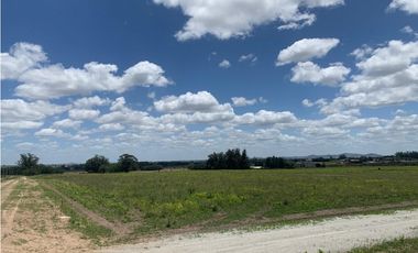 OPORTUNIDAD! Bella Vista (Calle 40, 42, 79, 81 y 83)