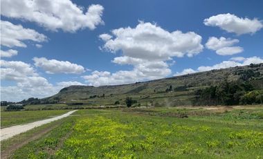 OPORTUNIDAD! Bella Vista (Calle 40, 42, 79, 81 y 83)