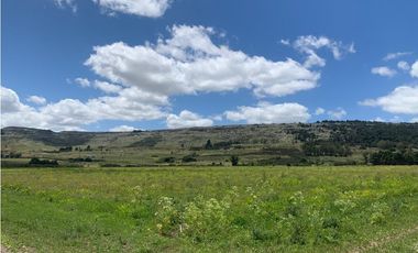 OPORTUNIDAD! Bella Vista (Calle 40, 42, 79, 81 y 83)