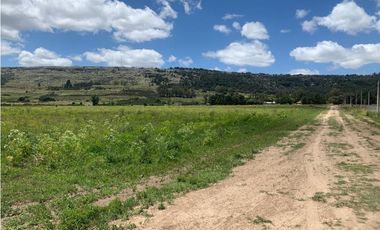 OPORTUNIDAD! Bella Vista (Calle 40, 42, 79, 81 y 83)