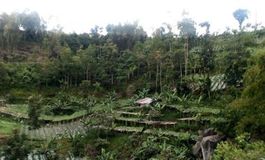 Dijual Cepat Tanah Murah 10 Ha Di Lembang Kota Bandung Barat