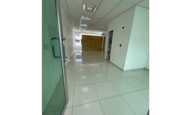 ALQUILER LOCAL LEVEL PLAZA 50 M2