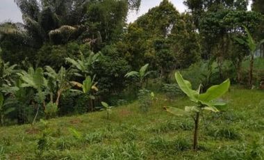 BU CEPAT tanah bekas budidaya jamur di bandung barat