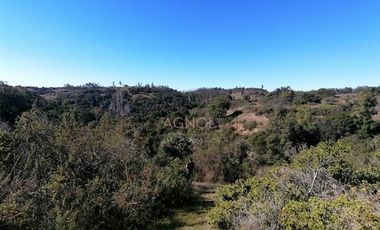 Parcela en Venta en Condominio Almar, San Vicente de Arrayanes