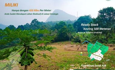 Hanya 420rb Per Meter Tanah Kebun Durian - Bogor