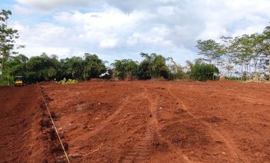 Tanah Pekalongan 80 Jt-an, Dekat Tugu Duren Karanganyar, Bayar 12x