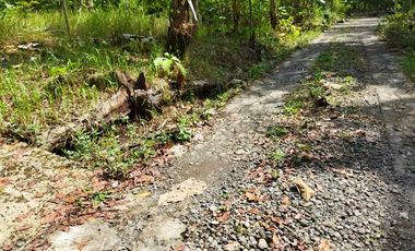 Rumah terbaik diKulonprogo Minimalis Siap KPR