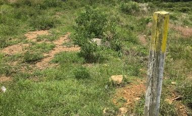 Precioso terreno a orilla de carretera a unos pasos de las presas de Huayapam