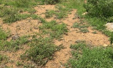 Precioso terreno a orilla de carretera a unos pasos de las presas de Huayapam