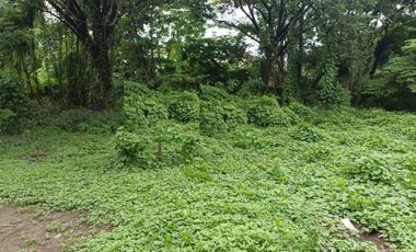 Tanah dijual di Jawa Timur, Surabaya