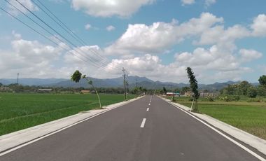 Lahan Dekat Pusat Kota Bisa Dicicil Selatan Kota Purworejo