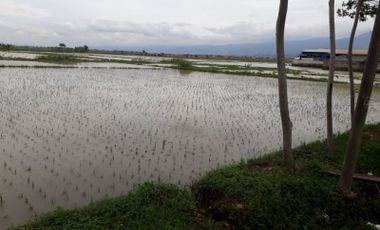 Jual Cepat Tanah Murah 26 Ha Di Rancaekek Kota Bandung