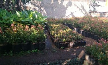 Tanah kavling murah 253mtr parongpong ciwaruga masuk mobil
