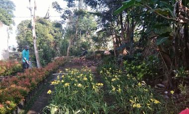 Tanah kavling murah 253mtr parongpong ciwaruga masuk mobil