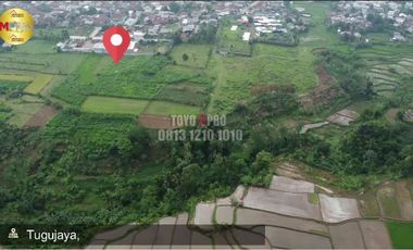 Dijual Tanah Untuk Kawasan Pergudangan | 3 KM EXIT TOL BOCIMI | Cigombong bogor