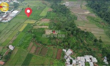 Dijual Tanah Untuk Kawasan Pergudangan | 3 KM EXIT TOL BOCIMI | Cigombong bogor
