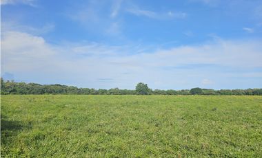 Se Vende Finca de 341 hectáreas en Antón