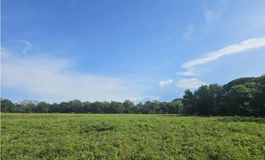 Se Vende Finca de 341 hectáreas en Antón