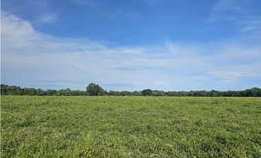 Se Vende Finca de 341 hectáreas en Antón