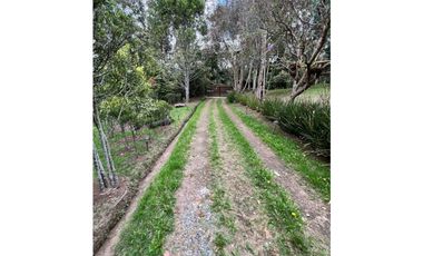Venta de Finca en Santa Elena sector vereda el Plan