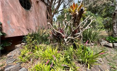 Venta de Finca en Santa Elena sector vereda el Plan