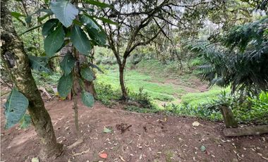 Venta de Finca en Santa Elena sector vereda el Plan